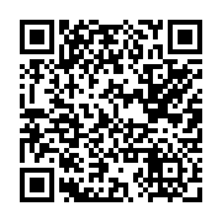 QR code for CZT236
