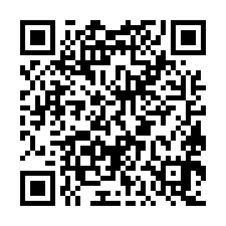 QR code for DAG595