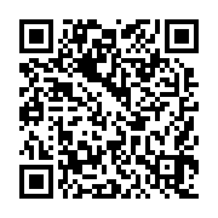 QR code for DAP243