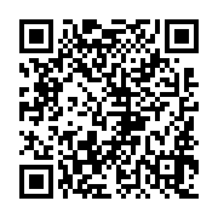 QR code for DDL697