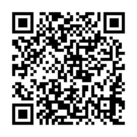 QR code for DDN959