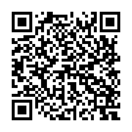 QR code for DFS946