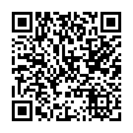 QR code for DLR939