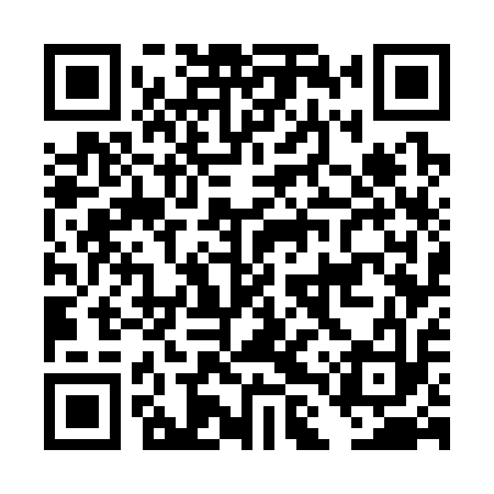 QR code for DLW313