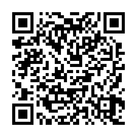 QR code for DMH228