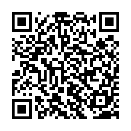 QR code for DNS555