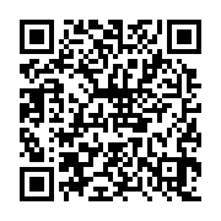 QR code for DPV333