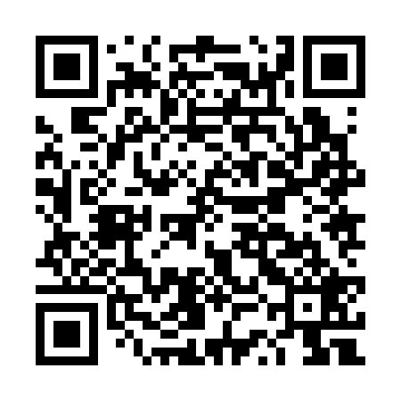 QR code for DSJ329