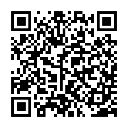 QR code for DSR203
