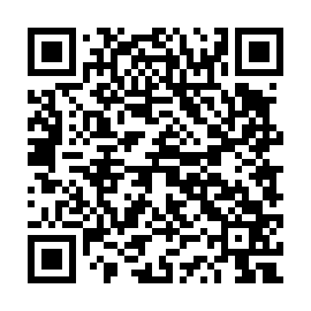 QR code for DST463