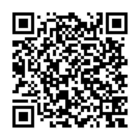 QR code for DWZ579