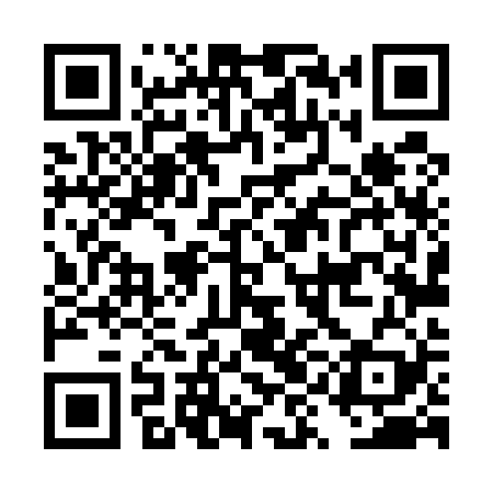 QR code for DYL529