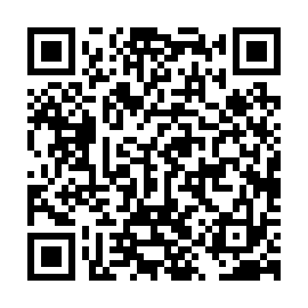 QR code for DYP233