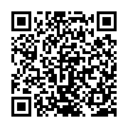 QR code for DYV704