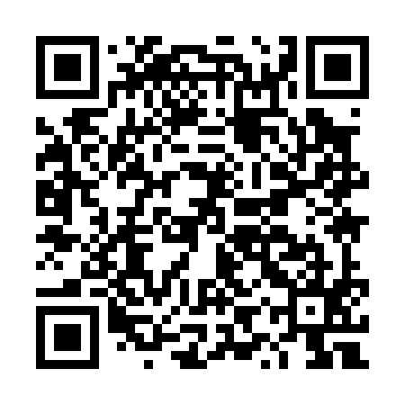 QR code for DYY095