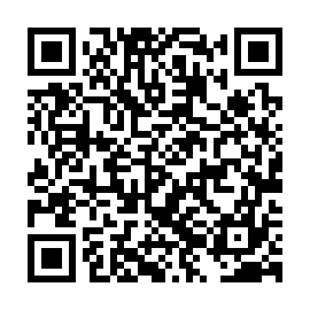 QR code for DZL377
