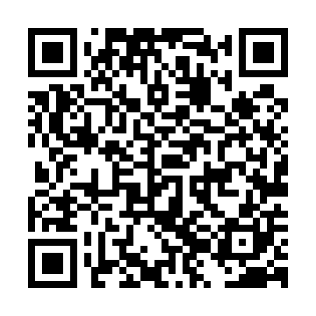 QR code for DZL500