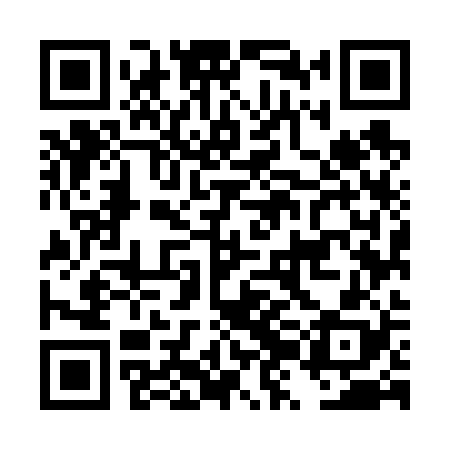 QR code for DZM628
