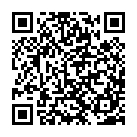 QR code for DZP004