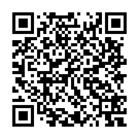 QR code for DZY528