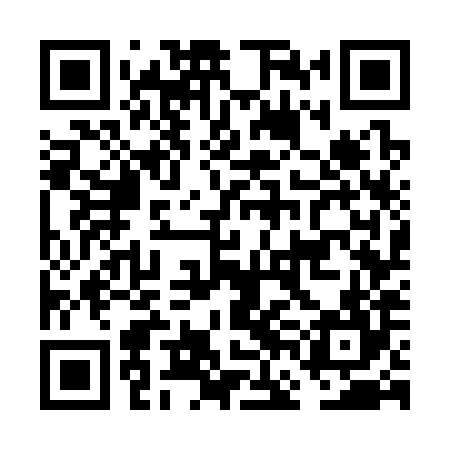 QR code for FFG384