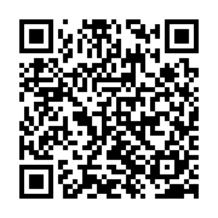 QR code for FZC325