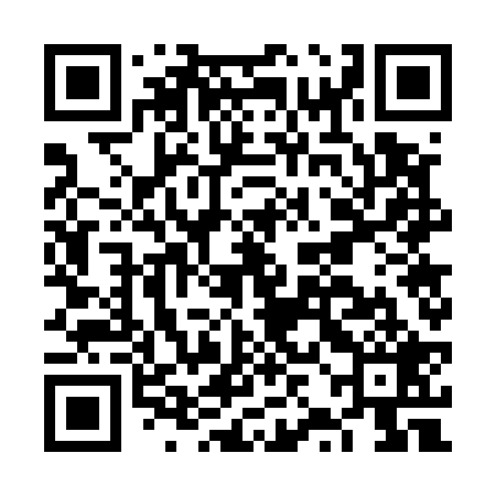 QR code for FZG529