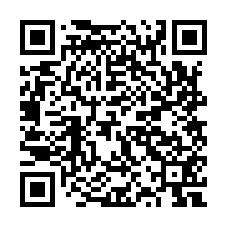 QR code for FZR951