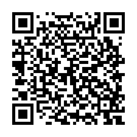 QR code for GAM386