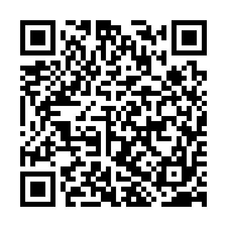 QR code for GHS317