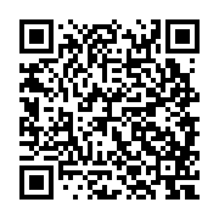 QR code for GMN387