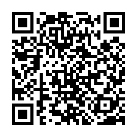 QR code for GMN528