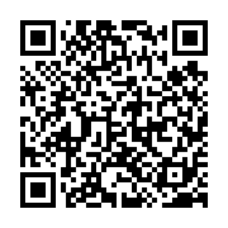 QR code for GSF611