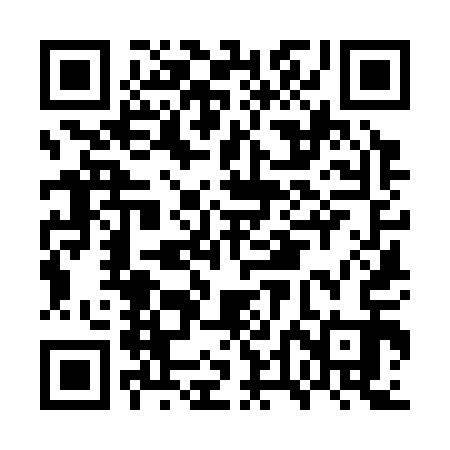 QR code for GTK313
