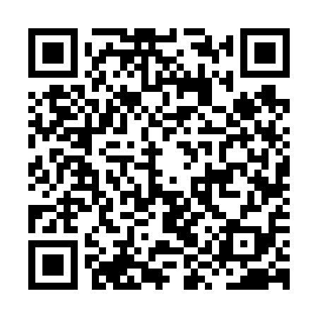 QR code for HYV619