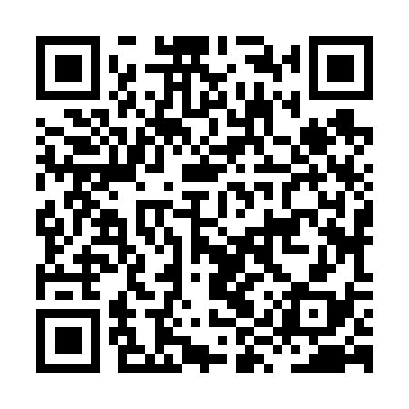 QR code for HYZ638