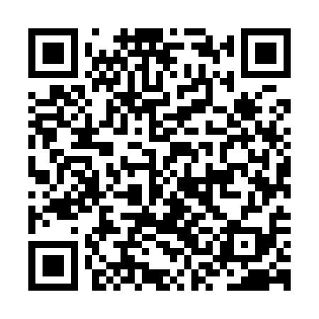 QR code for JSM919