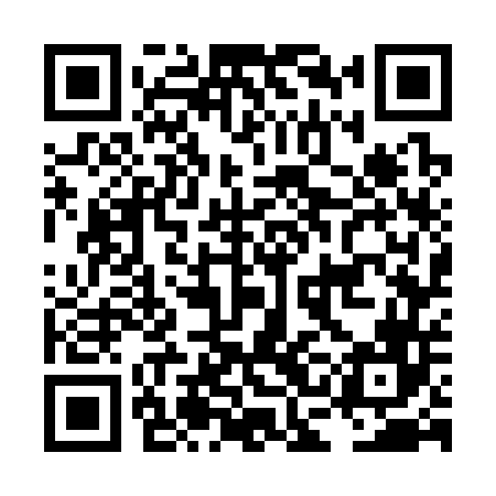 QR code for LCG346