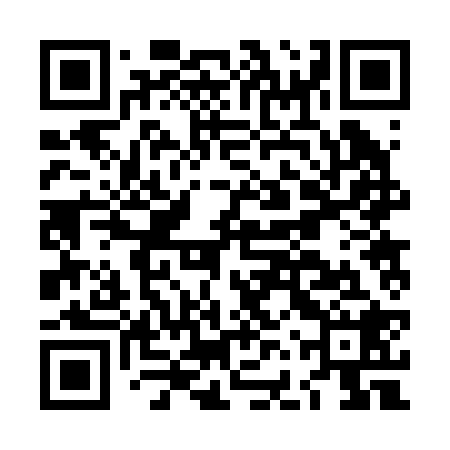 QR code for LFR228