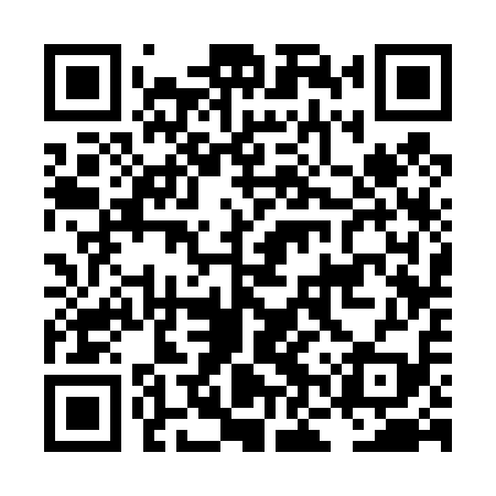 QR code for LNS419