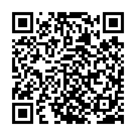 QR code for LZR611