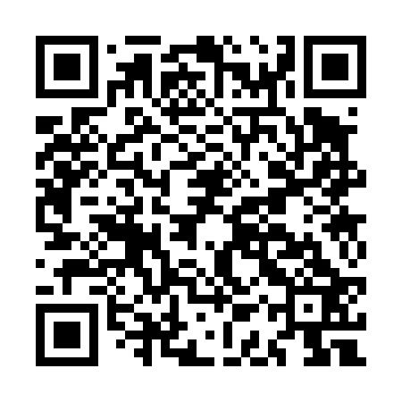 QR code for MAS423
