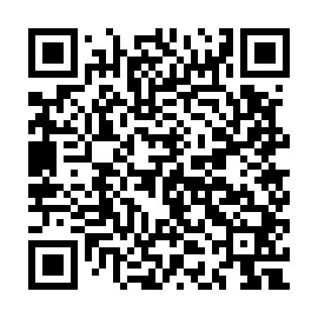 QR code for MDG540