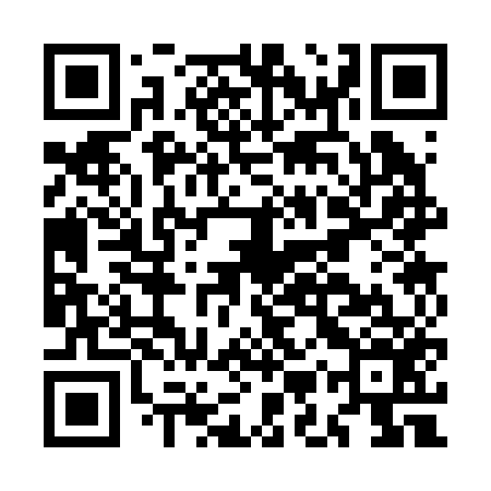QR code for MMS256