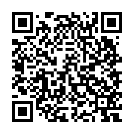 QR code for NAN653