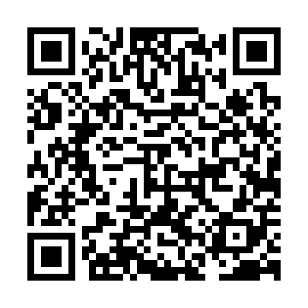 QR code for NFT308