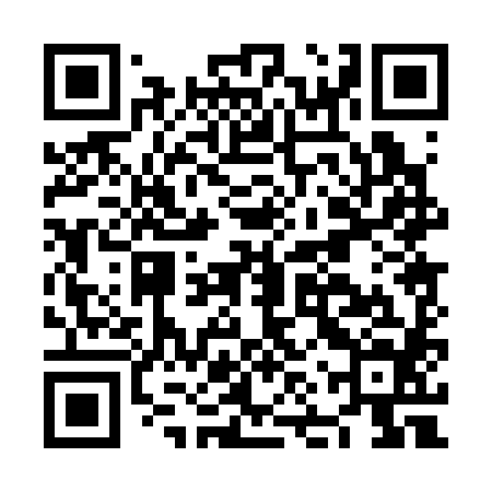 QR code for NNP384
