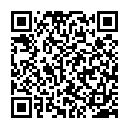 QR code for NTT533