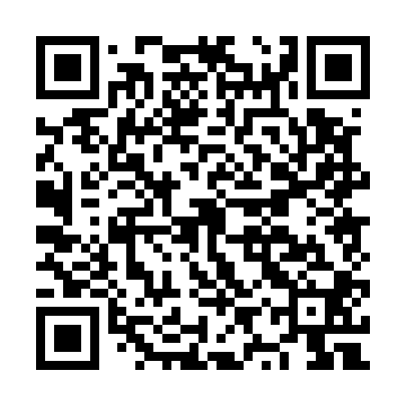 QR code for NYP500