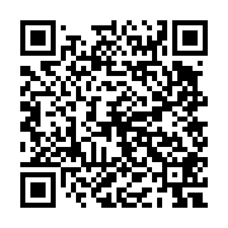 QR code for PAG408